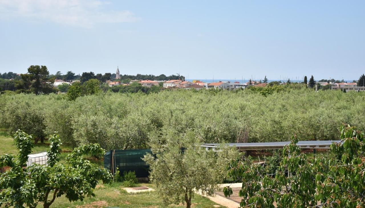 Apartmani Diana Novigrad Istria Kültér fotó