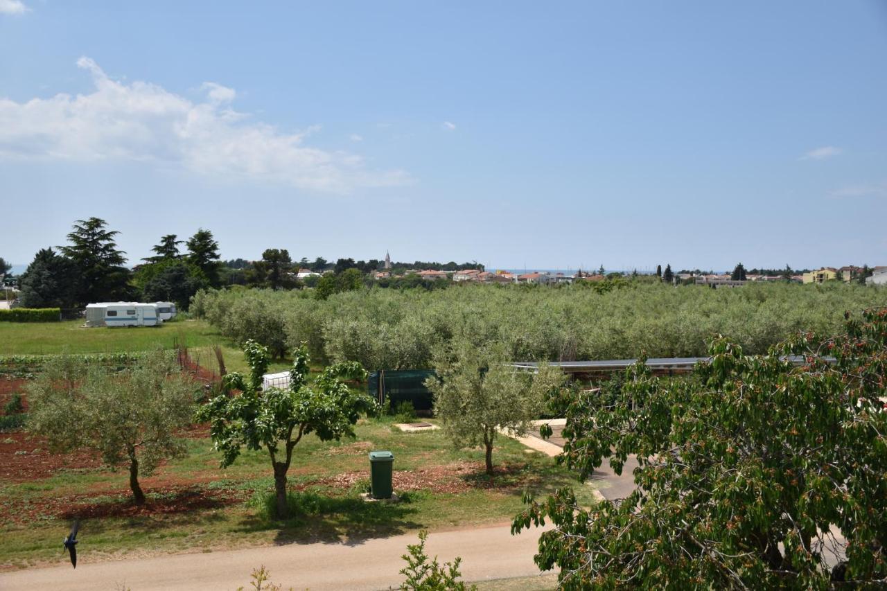 Apartmani Diana Novigrad Istria Kültér fotó