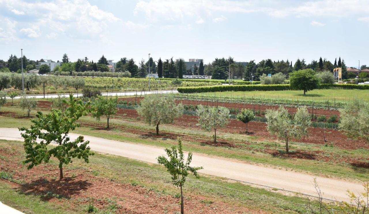 Apartmani Diana Novigrad Istria Kültér fotó